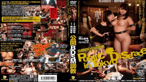 Dream Ticket PDD-003 Asada Yoshinori, Yokoyama Natsuki Public BDSM Training Affiliation