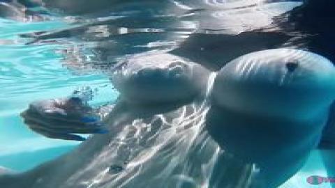 SofieMarieXXX 22 04 01 Underwater Creampie XXX